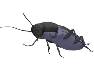 Firebeetle 3D Model preview