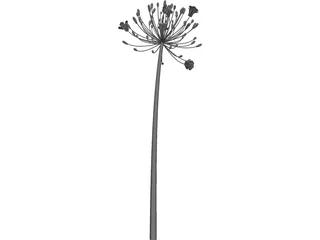 Bell Agapanthus Flower 3D Model preview