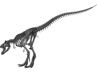 Tyrannosaurus Rex Skeleton 3D Model preview