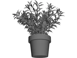 Albero 3D Model preview