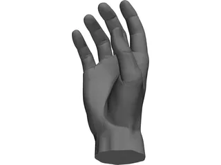 Hand 3D Model preview