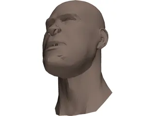 Human Head Face 3D Model preview