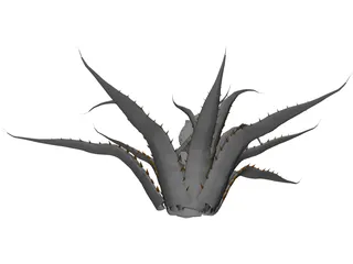 Agave Americana Marginata 3D Model preview