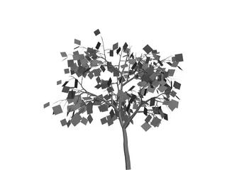 Weeping Higan Cherry 3D Model preview