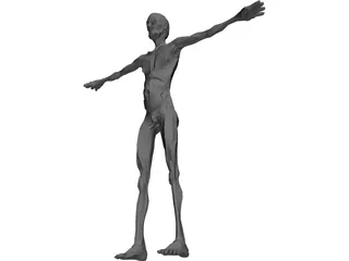 Old Skinny Man 3D Model preview