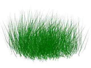 Grass 3D Model preview