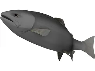Happy Fish 3D Model preview