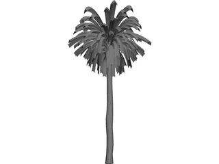 Palm Tree 3D Model preview