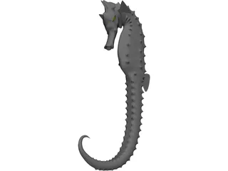 Hippocampe 3D Model preview