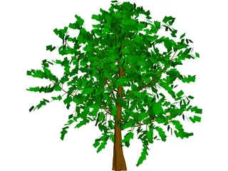 Baum Tree 3D Model preview