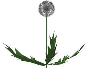 Dandelion 3D Model preview