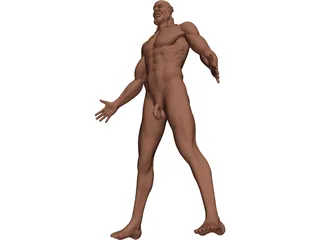 Man 3D Model preview