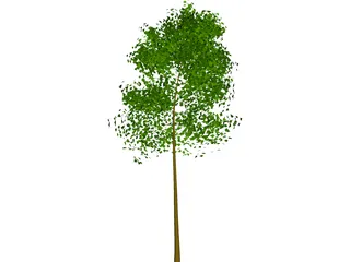 Tree 3D Model preview