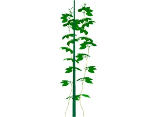 Plant 3D Model preview