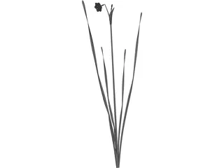 Suisen 3D Model preview