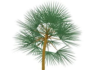 Palm 3D Model preview
