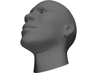 Head Mike Tyson 3D Model preview