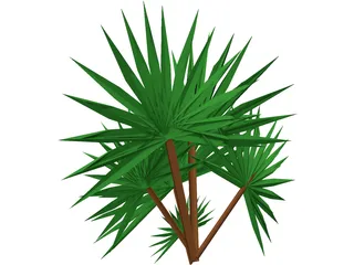 Palmetto Plant 3D Model preview