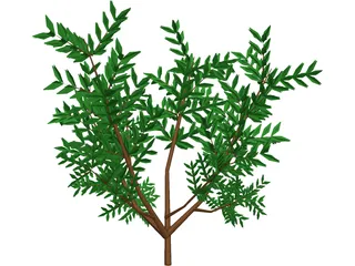 Azalea Bush 3D Model preview