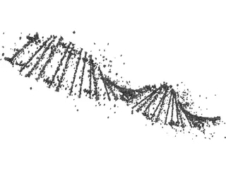 DNA Human 3D Model preview