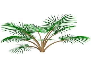 Palm Tree 3D Model preview
