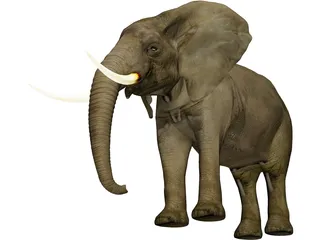 Elephant 3D Model preview