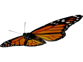Butterfly 3D Model preview