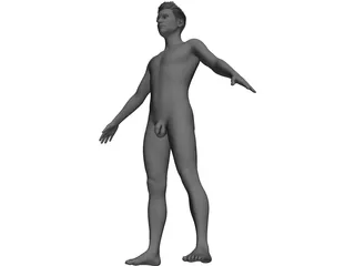 Male 3D Model preview