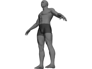 Male 3D Model preview