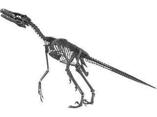 Velociraptor Skeleton 3D Model preview