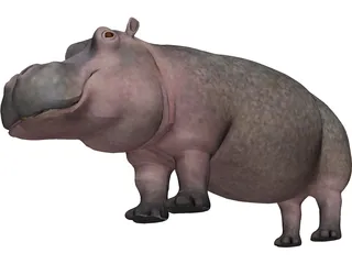 Hippopotamus 3D Model preview