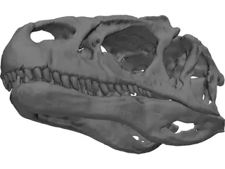 Allosaurus Fragilis Skull 3D Model preview