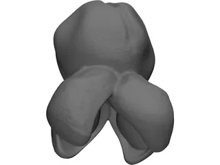 Popcorn 3D Model preview