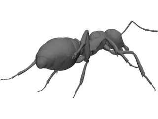 Ant 3D Model preview