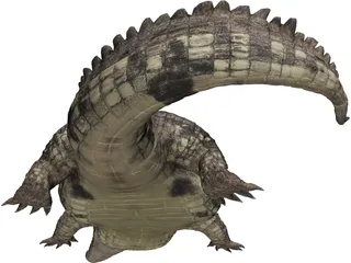 Crocodile 3D Model preview