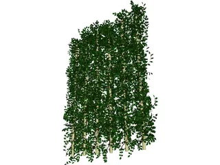 Plant Ivy 3D Model preview