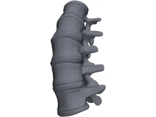 Lumbar Spine 3D Model preview