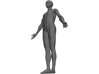 Full Human Anatomy for Simulation 3D Model preview