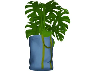 Monstera Deliciosa 3D Model preview