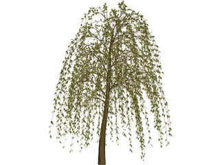 Tree 3D Model preview