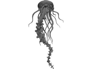 Jelly Fish 3D Model preview