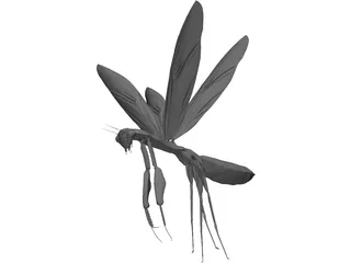 Flying Mantis 3D Model preview