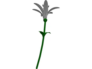 Lily 3D Model preview