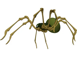 Spider 3D Model preview