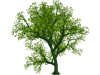 Lush Tree 3D Model preview