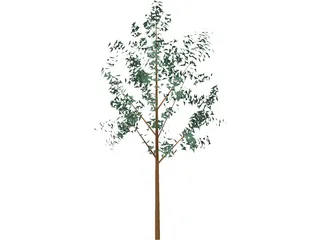 Tree 3D Model preview