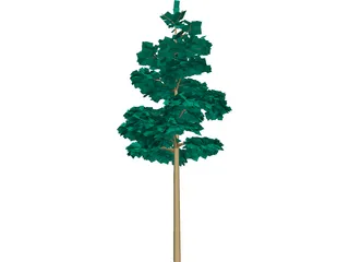 Redwood Tree 3D Model preview