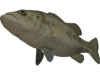 Florida Largemouth Bass 3D Model preview