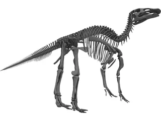 Edmontosaurus Skeleton 3D Model preview