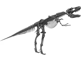 Gorgosaurus Skeleton 3D Model preview